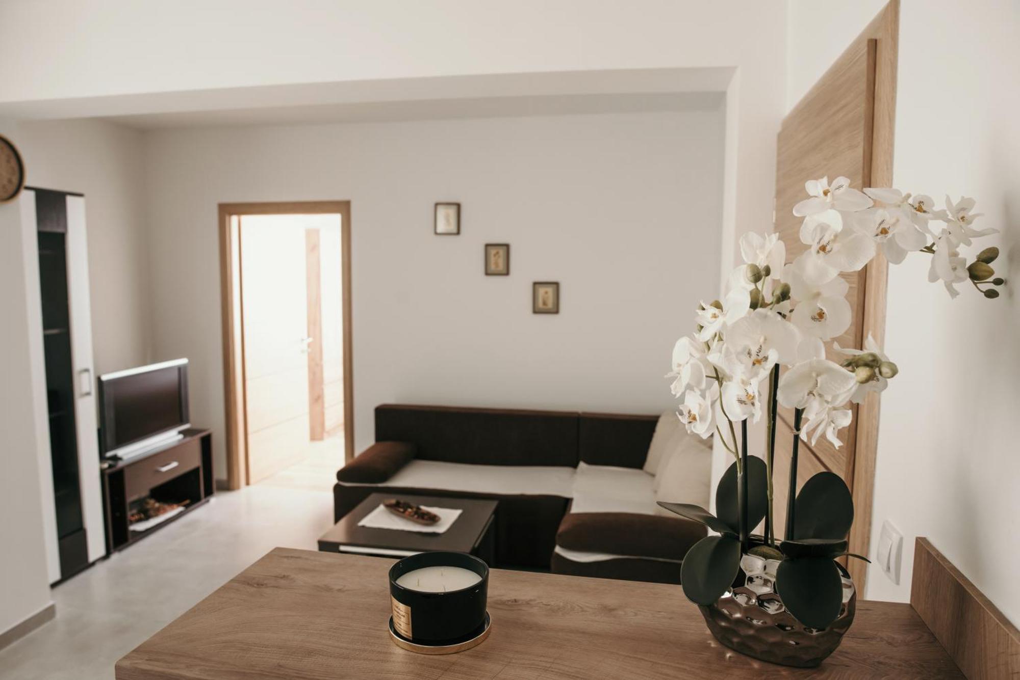 Apartman Krznaric Zupanja Exterior foto